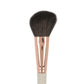 Face Set Brushes New - 8 Pcs bjbeautykuwait